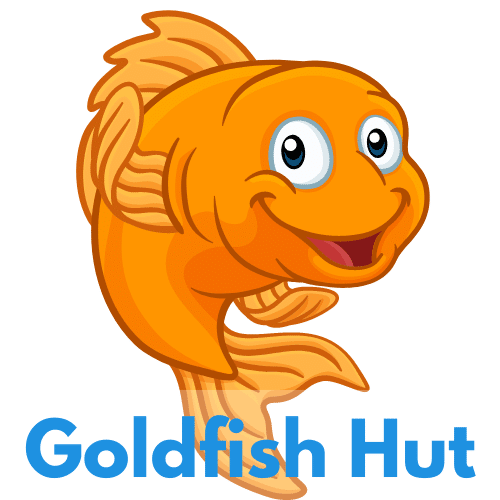 Step-by-Step: How Do Goldfish Mate?